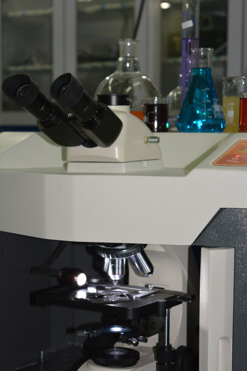 Raman Spectroscopy, Raman Microscope From Vac Techniche
